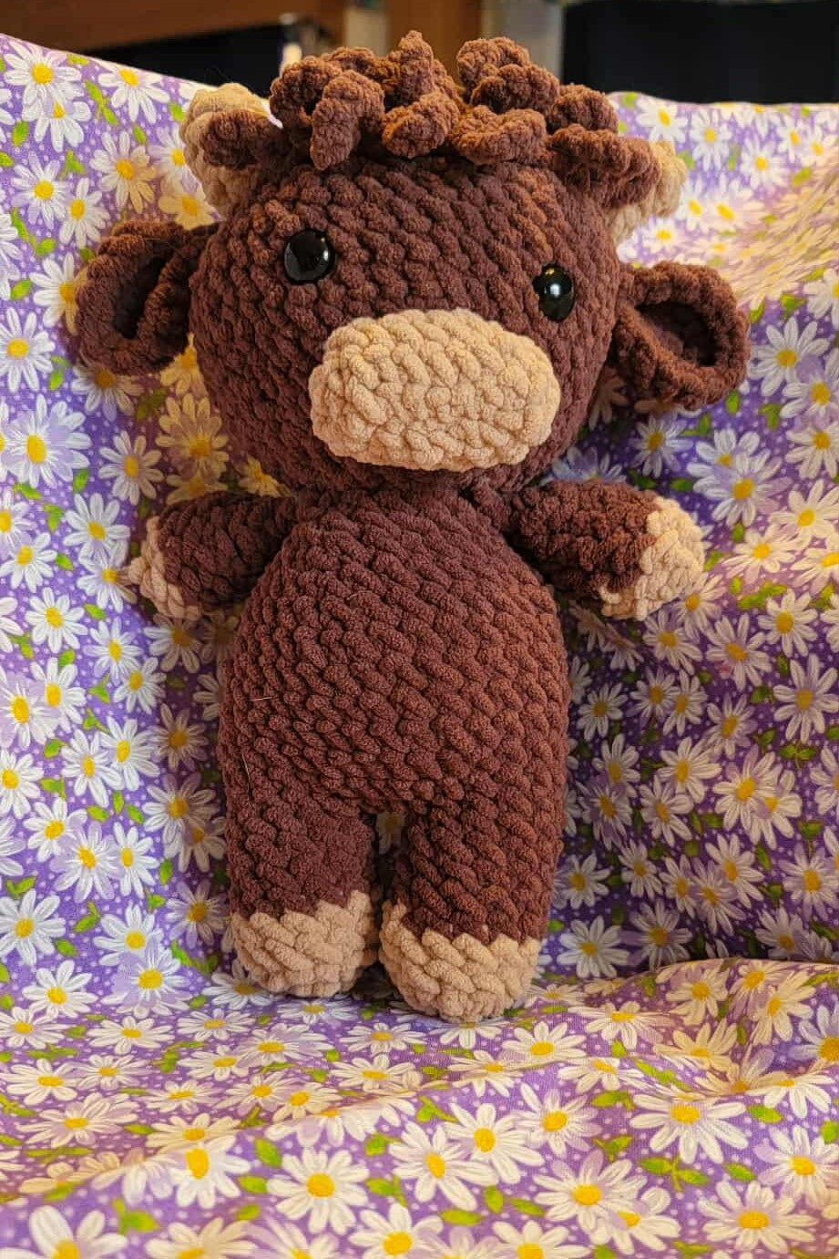 Darla the Highland Cow