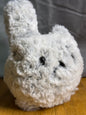 Snowball the Cat