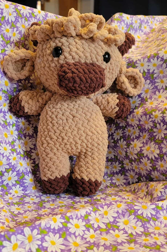 Blaire the Highland Cow