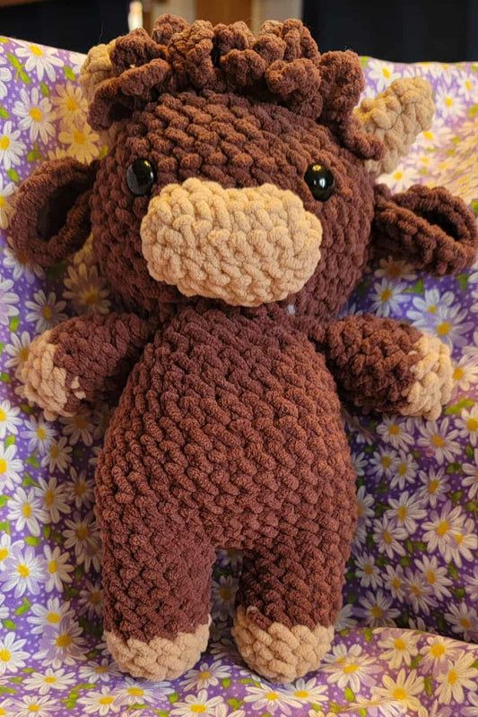 Felix the Highland Cow