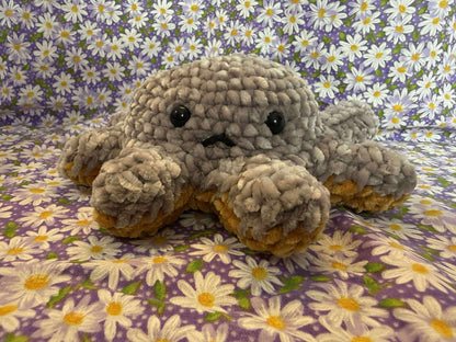 Darlene the Reverso Octo