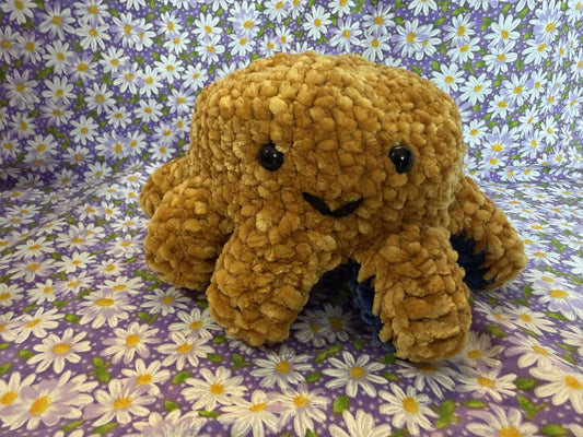 Darlene the Reverso Octo